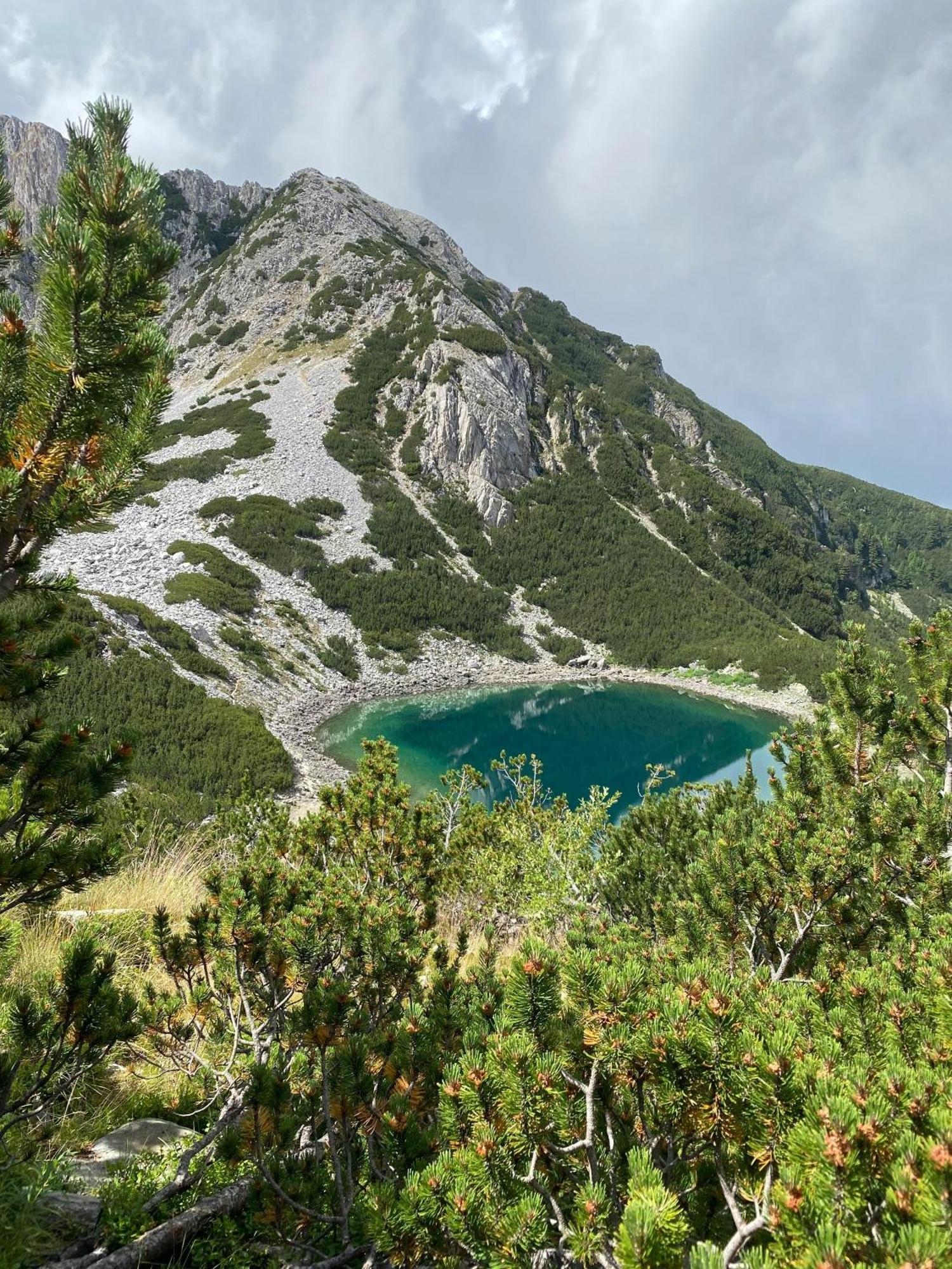 Efo Apartment Bansko Exteriér fotografie